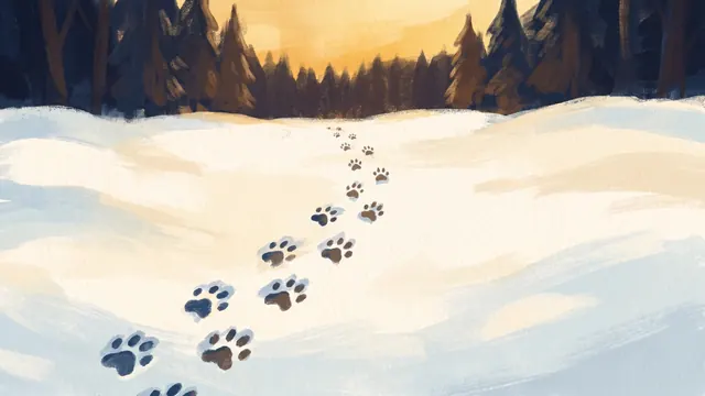 Painted cover for a personalised bear adventure story